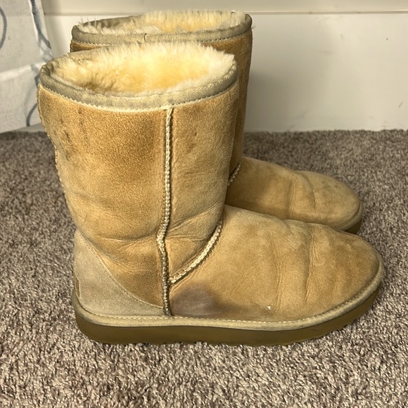 Fall UGGS - Picture 5 of 7